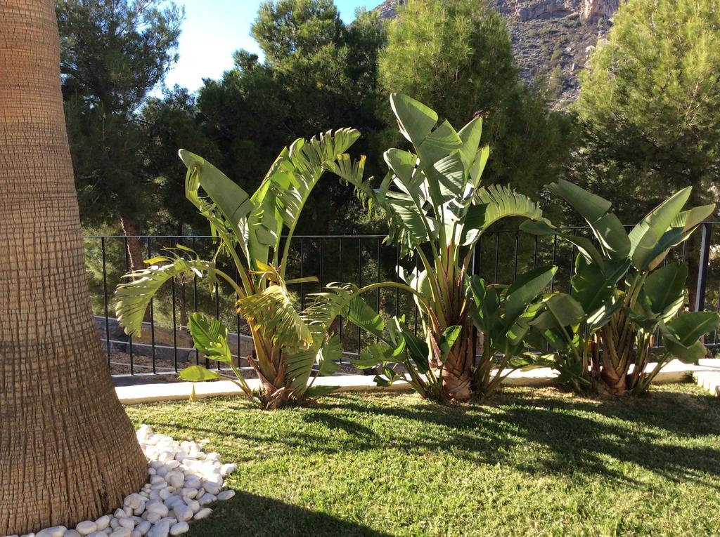 Olivos Holiday Home Altea Ruang foto